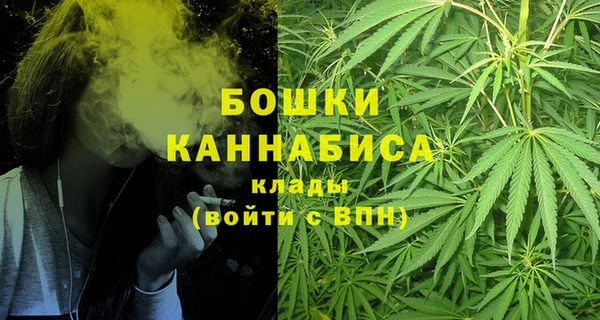 Альфа ПВП Пересвет