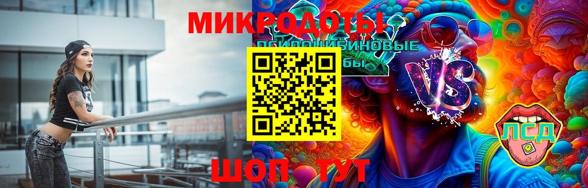 Псилоцибиновые грибы GOLDEN TEACHER  Кулебаки  Псилоцибиновые грибы прущие грибы 